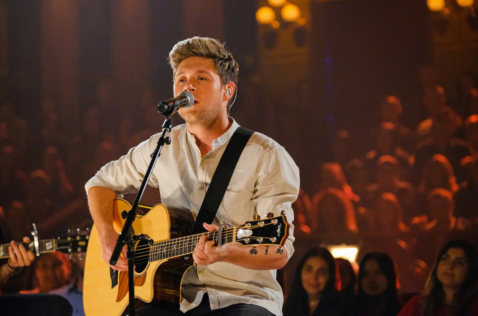 Audience at a Niall Horan concert